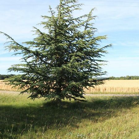 Saint-Aquilin-de-PacyGite Proche De Giverny公寓 外观 照片