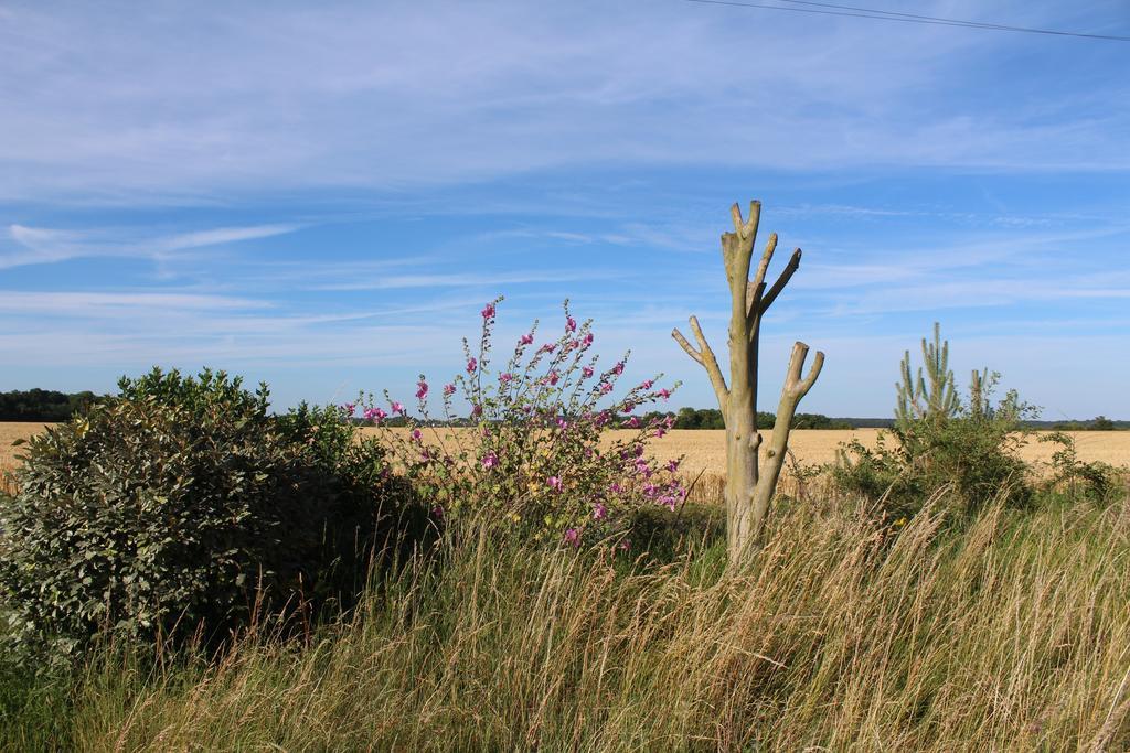 Saint-Aquilin-de-PacyGite Proche De Giverny公寓 外观 照片